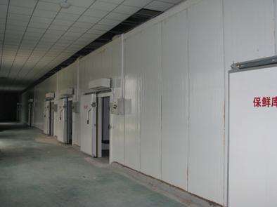 氣調(diào)庫相比較保鮮庫而言的話都有哪些特點?